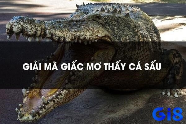 Giấc mơ chứa đựng cả điều tốt và xấu trong tương lai