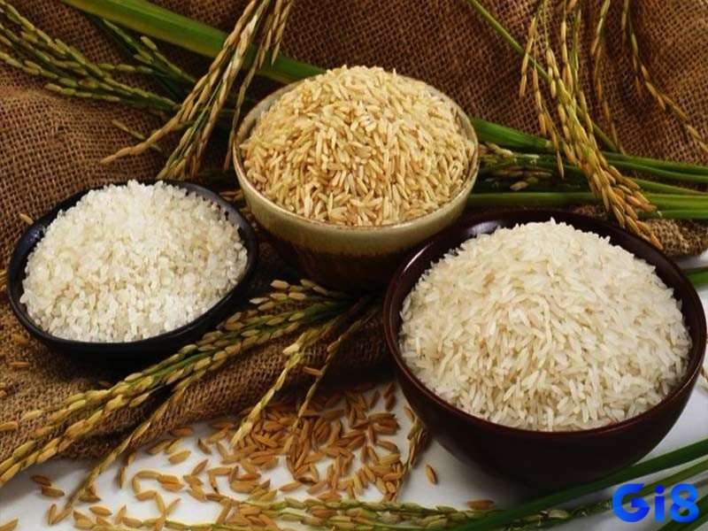Mơ thấy gạo chứa đựng những dự báo tương lai thú vị
