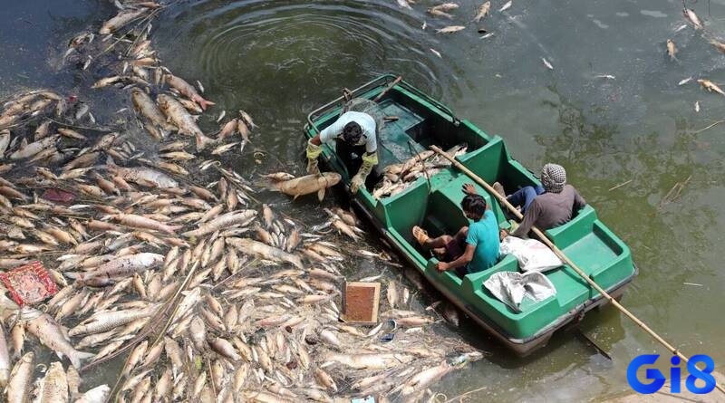 Chiêm bao có thể là điềm báo cát hoặc hung tùy trường hợp xảy ra