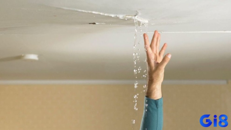 Việc giải mã giấc mơ sẽ dựa trên tình huống cụ thể