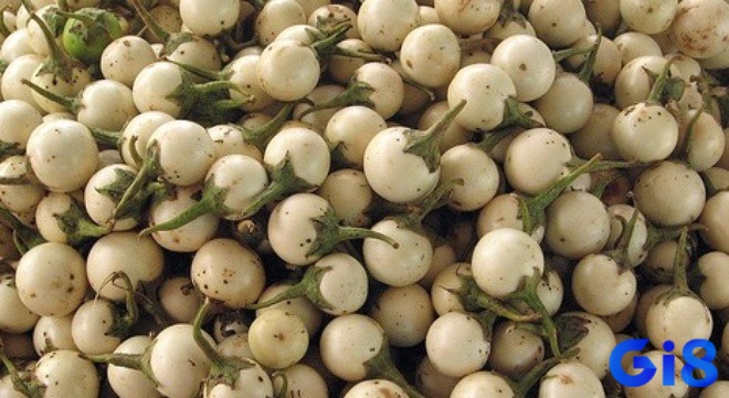 Mơ thấy quả cà được giải mã dựa trên những gì chủ mộng trải qua