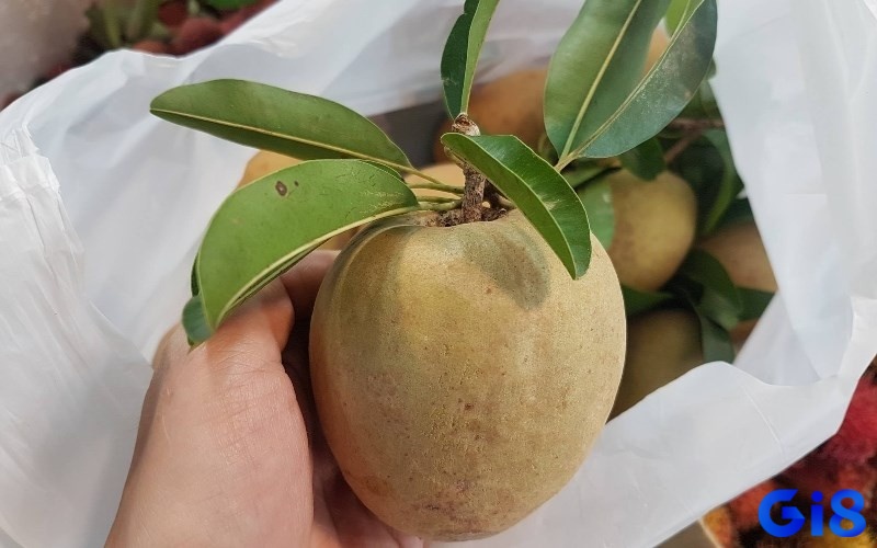 Chiêm bao thấy hồng xiêm giúp dự đoán chuyện tương lai