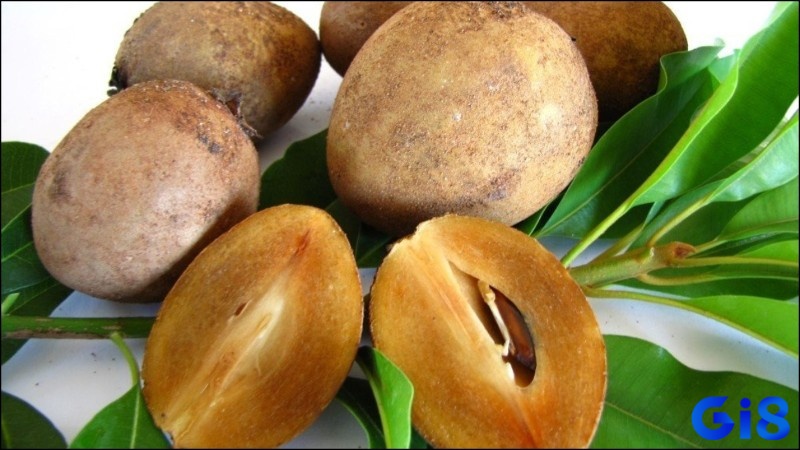 Mơ thấy quả hồng xiêm đánh đề con gì giúp gia chủ trúng lớn