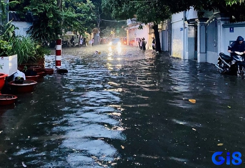 Mơ thấy nước lụt đánh đề con gì giúp đề thủ gặp may? Ngủ mơ thấy nước lũ màu đen đánh đề 23