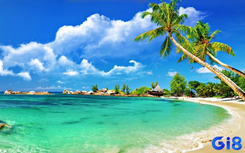 Ngủ mơ thấy đi du lịch biển dự báo sắp tới bạn sẽ có nhiều vấn đề trong cuộc sống