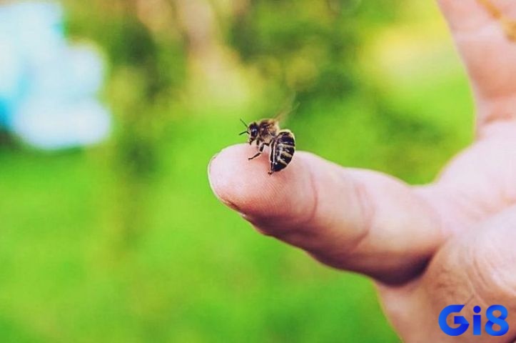 Giấc mơ thấy bị ong đốt trong bối cảnh xã hội thể hiện sự không thoải mái trong giao tiếp xã hội