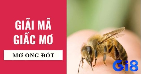 Phân tích ý nghĩa chiêm bao chi tiết tại gi8 - Ngủ mơ thấy ong đốt đánh lô nào