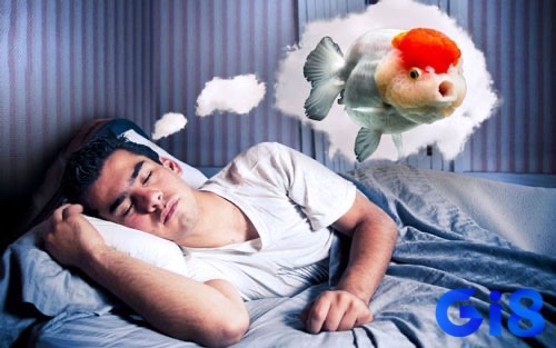 Giấc mơ thấy cá thường được xem là điềm báo của may mắn và thịnh vượng