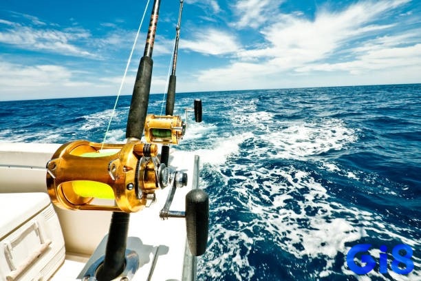 Mơ thấy câu cá đánh con gì? Phân tích chi tiết các trường hợp