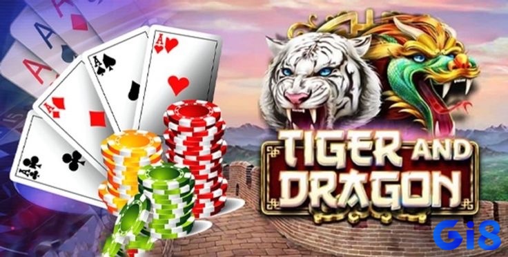 Cùng gi8 tìm hiểu về kèo dragon tiger chuẩn xác nhé