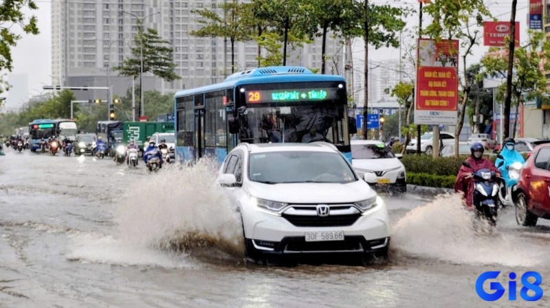 Gi8 giải đáp những thắc mắc giúp bạn hiểu rõ và chọn đúng nằm mơ thấy nước lũ đánh đề con gì hợp vận nhất.