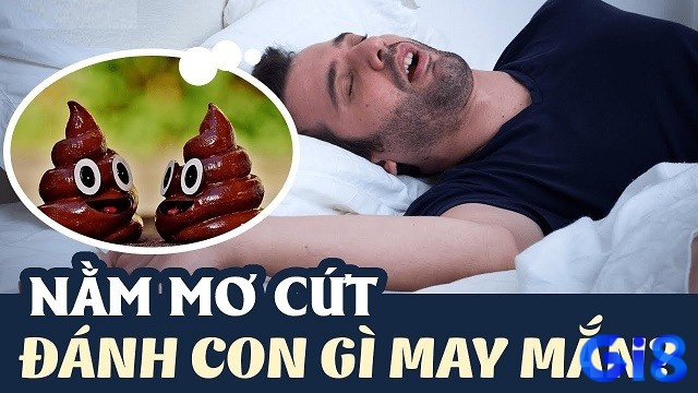 Giấc mơ thấy cứt là dấu hiệu liên quan đến tài lộc và những con số đặc biệt