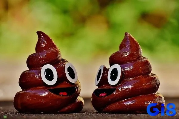 Nhận diện thêm các giấc mơ khác về cứt để có được thông điệp đầy đủ