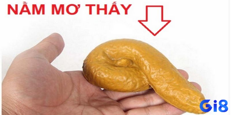 Khám phá điềm báo khi mơ thấy cứt để hiểu rõ thông điệp thực sự của giấc mơ
