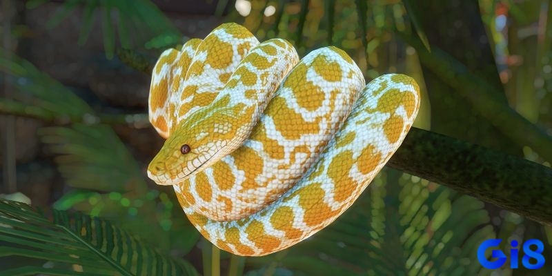 Về ngũ hành giấc mơ thấy rắn to phản ánh sự xung đột trong vận khí của bạn