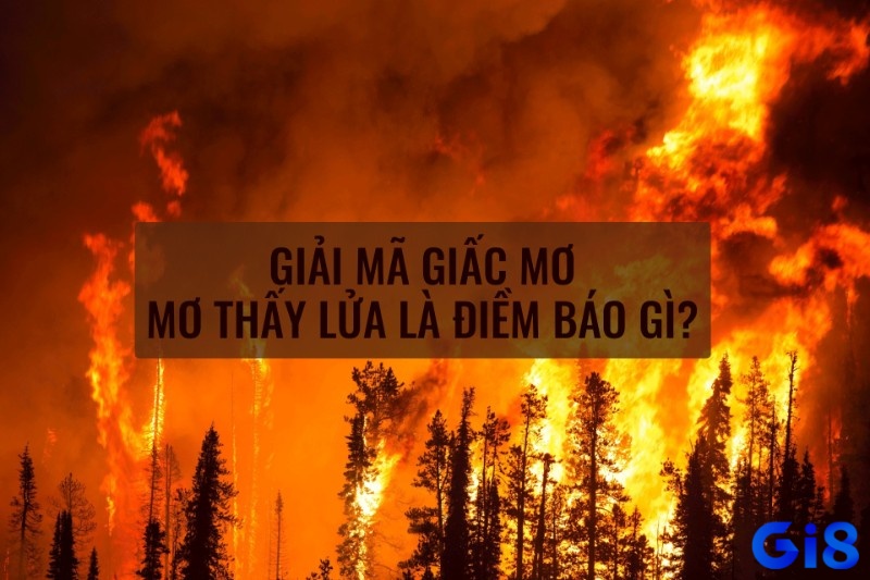 Giấc mơ thường liên quan đến cảm xúc, năng lượng và những thay đổi trong cuộc sống