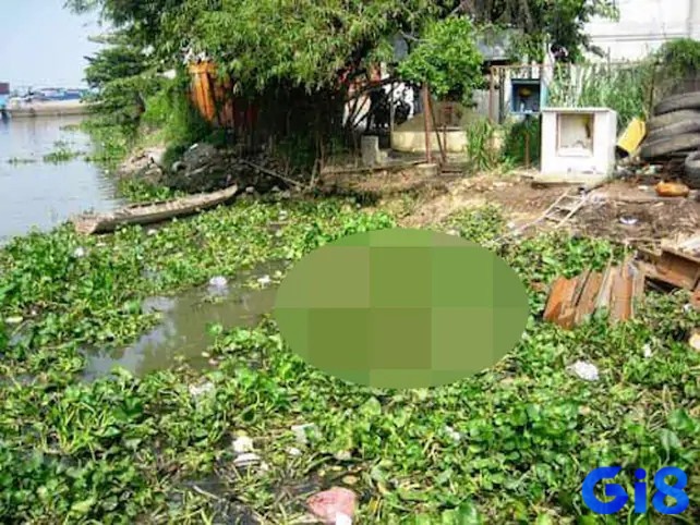 Mơ thấy 2 xác chết là cặp đôi thể hiện cho sự gắn kết về tình cảm trong bạn